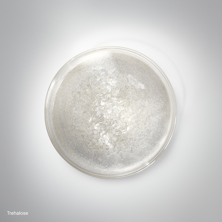 Hydrating Face Cream