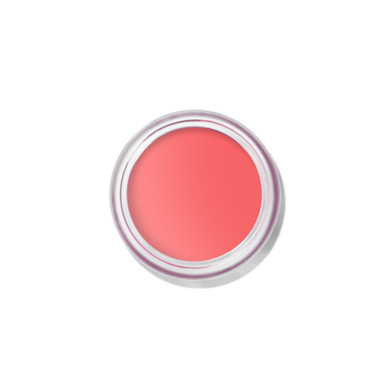 Pot Rouge Velvet Matte Cream Blush & Tint